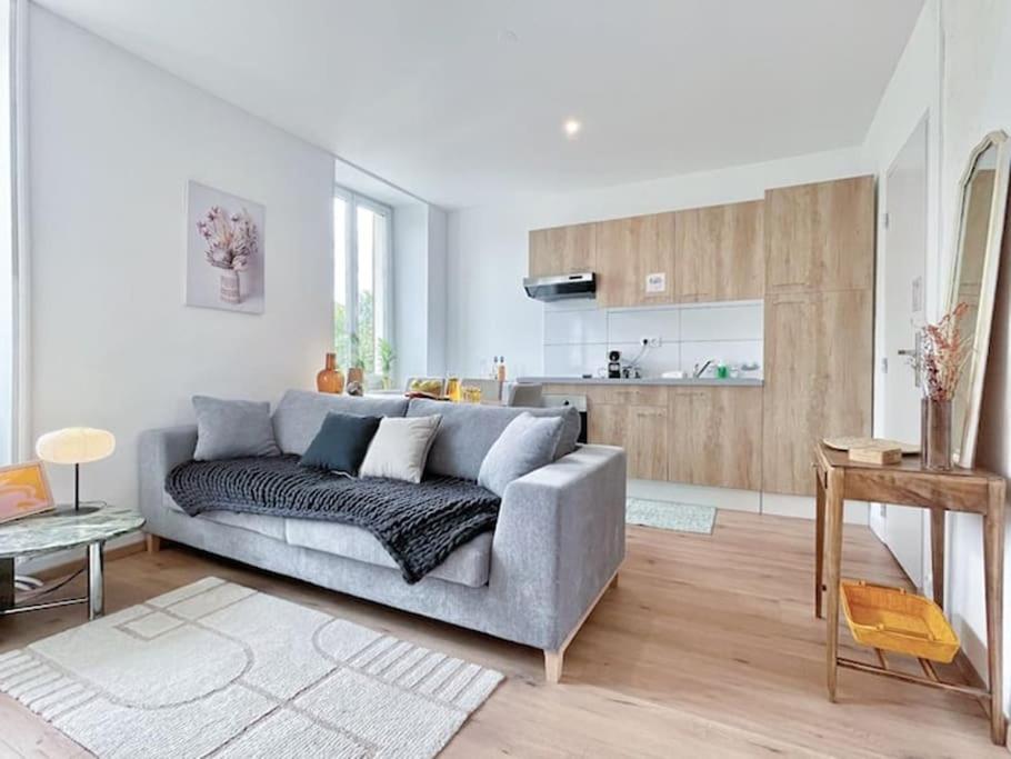 1 Appartement 3P Ideal Famille Travail Renove Lumineux Parking Gratuit Mulhouse Bagian luar foto