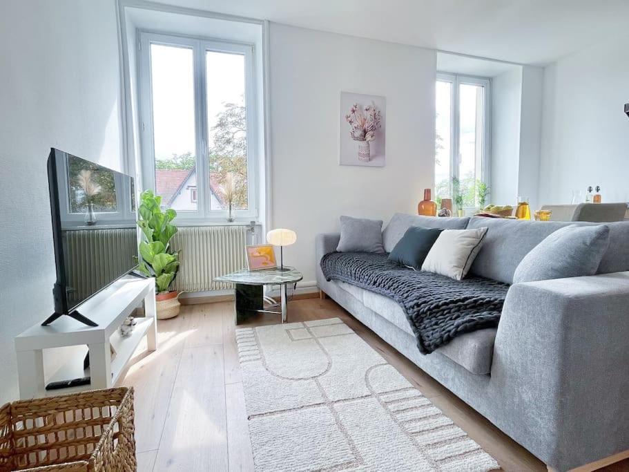 1 Appartement 3P Ideal Famille Travail Renove Lumineux Parking Gratuit Mulhouse Bagian luar foto