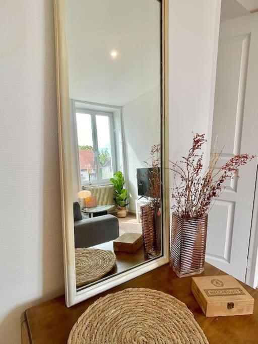 1 Appartement 3P Ideal Famille Travail Renove Lumineux Parking Gratuit Mulhouse Bagian luar foto