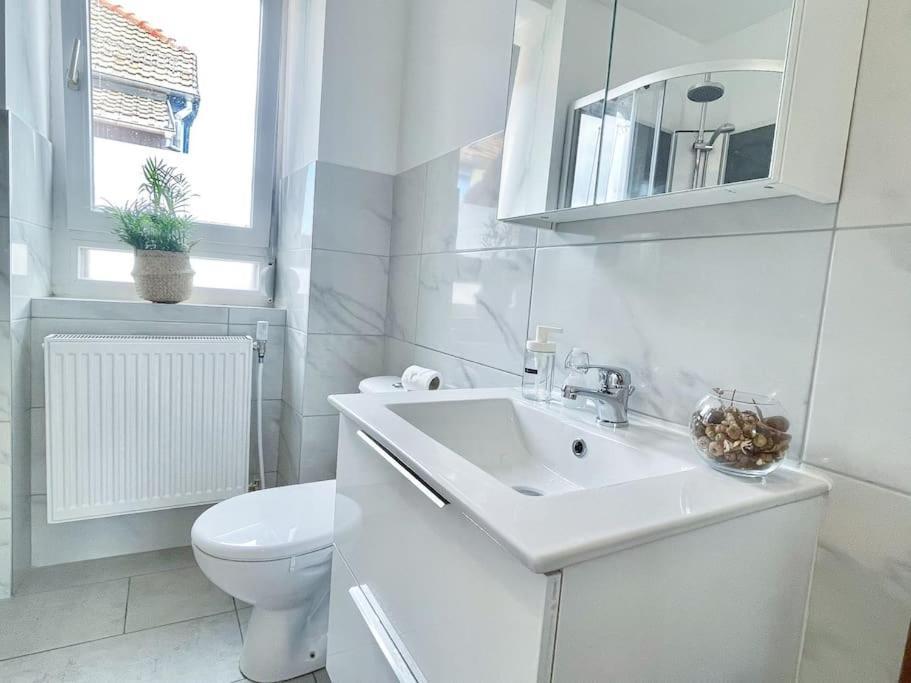 1 Appartement 3P Ideal Famille Travail Renove Lumineux Parking Gratuit Mulhouse Bagian luar foto