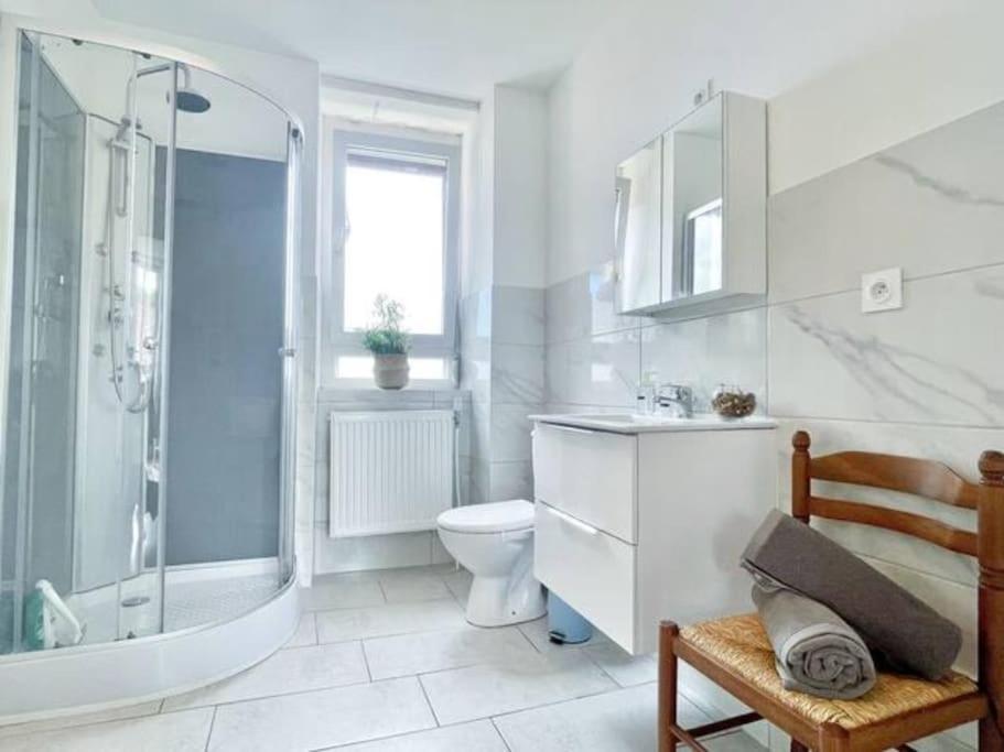 1 Appartement 3P Ideal Famille Travail Renove Lumineux Parking Gratuit Mulhouse Bagian luar foto